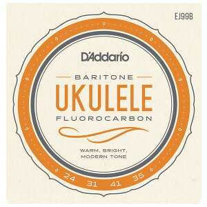 __I EN(og) EJ99B D'Addario Pro-Arte Carbon