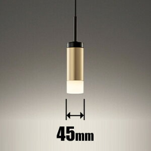 �I�[�f���b�N LED�y���_���g���C�g�y�_�N�g���[����t��p�z OP252783BR ODELIC [OP252783BR]