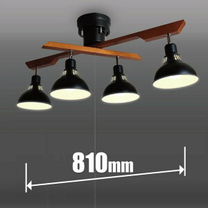 ^LY~ 4.5`6p LEDVfAyJ`bgz GL4020RSBK TAKIZUMI@URBAN@STYLE@bhX|bg [GL4020RSBK]