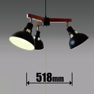 ^LY~ 4.5p@LEDVfAyR[h݁z GL3065CHBK TAKIZUMI [GL3065CHBK]