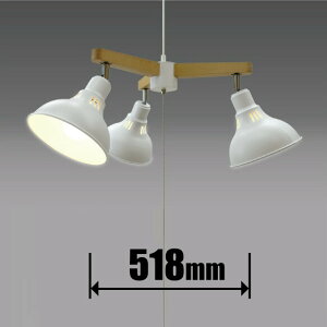 ^LY~ 4.5p@LEDVfAyR[h݁z GL3065CHWH TAKIZUMI [GL3065CHWH]