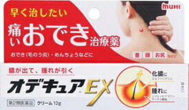 【第2類医薬品】オデキュアEX 12g 池田模範堂 オデキユアEX12G [オデキユアEX12G]【返品種別B】