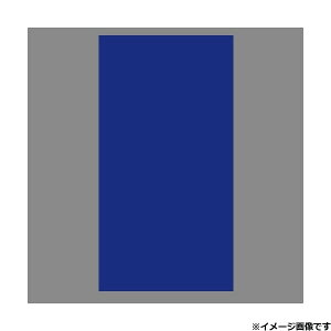 WFbgCmEG ANo u[ 509802 JET INOUE