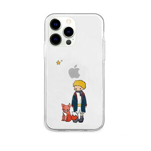 AKAN iPhone 13 Pro�i6.1�C���`�j�p �w�ʃJ�o�[�^ TPU�N���A�P�[�X�i���g���v�����X�ƃL�c�l�j AK21009I13P