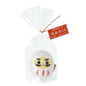 V| ݂ܔ@͔|Zbg GD-32802 V|@SEISHIN@͔|Lbg@͔|Zbg [GD32802ZCVgEQC]