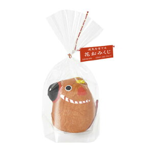 V| ݂xN@͔|Zbg GD-32602 SEISHIN@͔|Lbg@͔|Zbg@@ [GD32602ZCVgEQC]