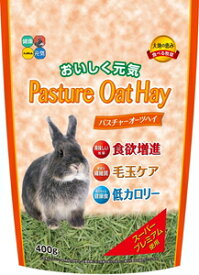 うさぎ用フード 牧草 パスチャーオーツヘイ 400g ハイペット パスチヤ-オ-ツヘイ 400G
