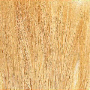 24-334 �t�B�[���h �O���X �����F (FG171)