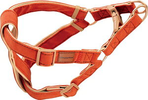 Doggyfs Tailor hbOn[lX L XG[hX^CiIWj hM[}nV eC-n-lXLXG-hX^COR