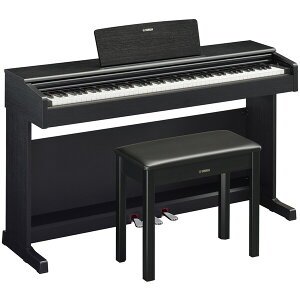 }n dqsAm(ubNEbhdグ)y֎qwbhz\OubNtz YDP-145-B YAMAHA ARIUS(AEX)