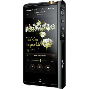 JC fW^I[fBIvC[(128GB+OΉ)sfADAC/fA^Ǎ\t SPK-A002 Cayin N8ii