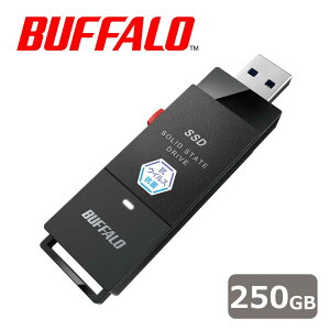 obt@[bBUFFALO USB3.2(Gen1) Type-A RECXER TV^Ή XeBbN^ MiniStation SSD 250GBiȈՃpbP[Wj SSDPUTVB250U3B/N