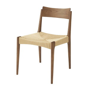 J y[p[R[h`FA(uEE46×s56×76cm) ACE-73BR [ACE73BR]