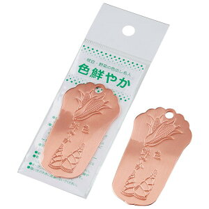 �c�Ӌ��� �}���E��؂̐F�o�����l �F�N�₩ TK2089199 TANABE [TK2089199]