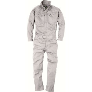 �V�[�Y�N���u 2000 �R�X�p�w�����{�������c�i�M(�A�b�V���E�O���[ 6L) 2000-818-6L C's CLUB