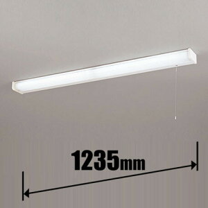 �I�[�f���b�N LED�L�b�`�����C�g�y�d�C�H����p�z OB555102R ODELIC [OB555102R]