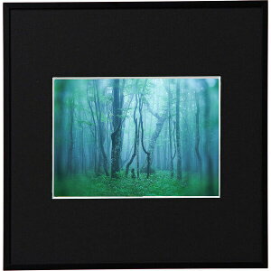 �P���R�[ �A���~�z�� �M�������[ 2L�X�N�G�A�i�u���b�N�j AGY-2LSQ-BK Kenko Tokina