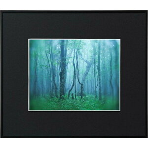 �P���R�[ �A���~�z�� �M�������[ �Z�؁i�u���b�N�j AGY-6-BK Kenko Tokina