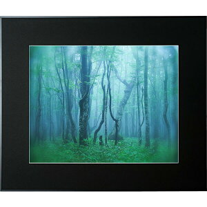 PR[ A~z M[ SiubNj AGY-Z-BK Kenko Tokina