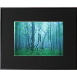 PR[ A~z M[ A4iubNj AGY-A4-BK Kenko Tokina