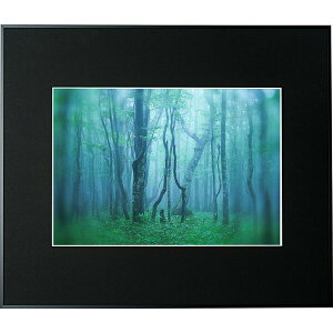 PR[ A~z M[ A3iubNj AGY-A3-BK Kenko Tokina