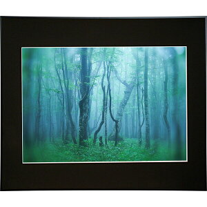 PR[ A~z M[ A2iubNj AGY-A2-BK Kenko Tokina