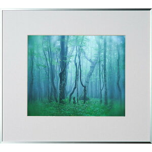 PR[ A~z M[ l؁iVo[j AGY-4-SV Kenko Tokina