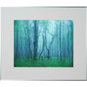 PR[ A~z M[ ؁iVo[j AGY-H-SV Kenko Tokina