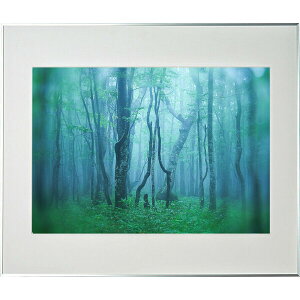 PR[ A~z M[ A2iVo[j AGY-A2-SV Kenko Tokina