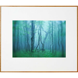 PR[ A~z M[ A3ii` j AGY-A3-NA Kenko Tokina