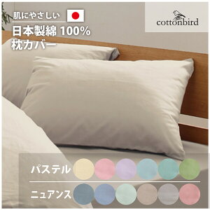 o[h y{z100sP[X NCsN(43×63cm) SB-504-N-PC-Q-DP [SB504NPCQDP]