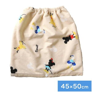 o[h fBYj[˂Pbg (45×50cm) SB-329-45-50 Disney [SB3294550]