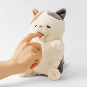 JCHw Ê݃nni䂸/~PlRj