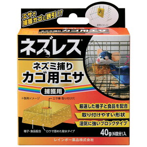 ߊlpa@˂݁@lY~@_Ɓ@d@ lYX pa 40g C{[i lYXlY~gJSEGT