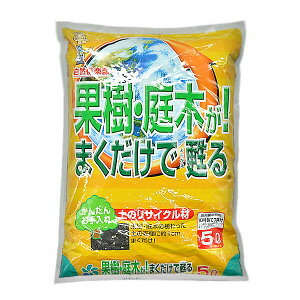 RpȊw ʎ؂܂S 5L SO-2057284