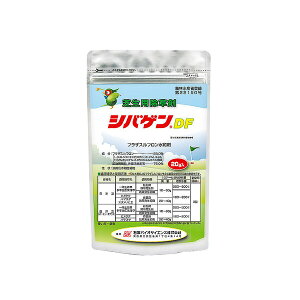 ΌoCI  VoQDF 20g IB-2056904 Őp tUXta Őp tUXta