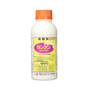 ΌoCI Eۍ } tAu 500ml IB-2056926 VA]t@~ha VA]t@~ha