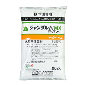 VWF^ p W_MX250 2kg SJ-2056578 st^hEs~Xt@E\gI st^hEs~Xt@E\gI