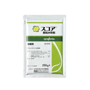�V���W�F���^ �E�ۍ� �X�R�A �������a�� 250g SJ-2056582 �W�t�F�m�R�i�]�[�����a�� �W�t�F�m�R�i�]�[�����a��