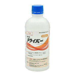 ۘaoCI W hCo[ 500ml MB-2056705 ۘaoCIP~J