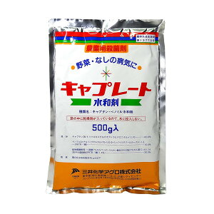 O䉻w Eۍ Lv[ga 500g MK-2056959 Lv^Exm~a Lv^Exm~a