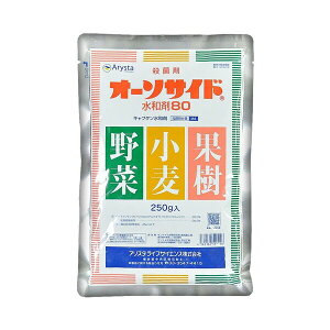 AX^ Eۍ I[\TCha80 250g AS-2056385 Lv^a Lv^a