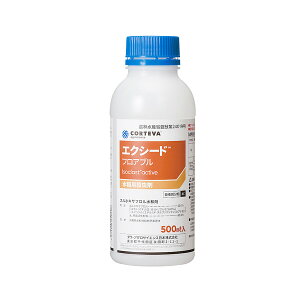 _EEP~J E GNV[h tAu 500ml DC-2057034 pE XzLTta pE XzLTta