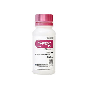 O䉻w MICxlrAOD 250ml MK-2057017 VAgjv[a VAgjv[a