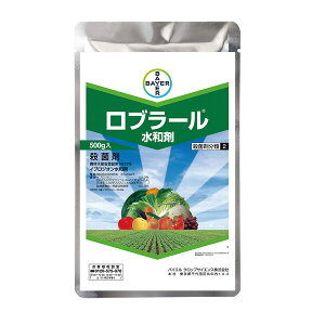 oCG Eۍ u[a 500g BA-2056683 CvWIa CvWIa