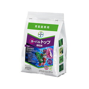 oCG E [ogbv  1kg BA-2056666 egjv[EC\`Aj egjv[EC\`Aj