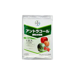 oCG Eۍ AgR[ a 500g BA-2056618 vslua vslua