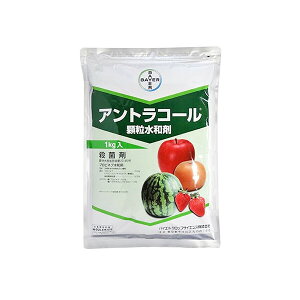 oCG Eۍ AgR[ a 1kg BA-2056617 vslua vslua