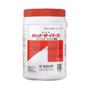 ZFw| KbgTChS 1kg SK-2056736 MEP MEP