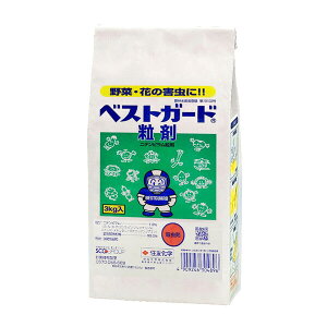 ZFw| xXgK[h 3kg SK-2056811 jes jes